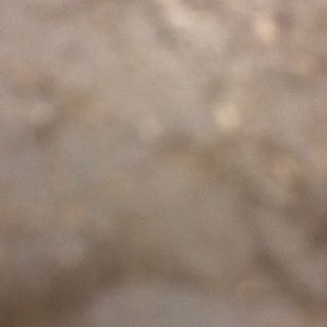 Meet your Posher, Briana